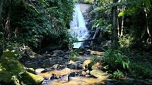 Waterfall Flowing In Rainforest. Endless Meditative Video, Stream In Tropical Exotic Jungle Forest. Creek Flow In Deep Woods Among Stones. Cascades Of Waterfall.