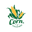 vintage logo corn vector illustration