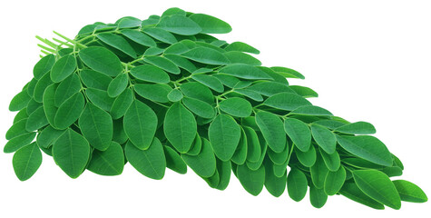 Sticker - Moringa leaves