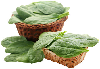 Wall Mural - Fresh Spinach