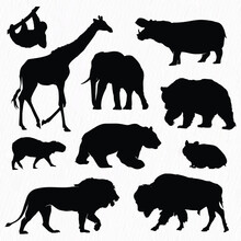 Vector African Wild Animals Silhouettes Set. Wild Animal Shape Shadow Isolated On White Background.