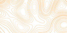 Abstract Golden Contour Lines Background Vector Illustration