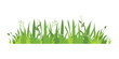 © dapiyupi - Green grass Illustration. Green lawn, flower, natural borders, herbs. Flat vector illustrations for spring, summer, nature, ground, plants concept.