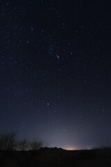 the orion nebula on a field of stars in the night sky.