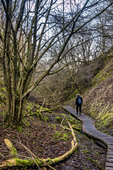 Sticker - Fosdalen wanderway footpath iceage landscape in Thy, Denmark