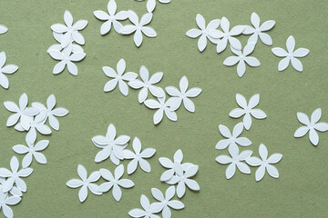 Wall Mural - floral confetti on green paper