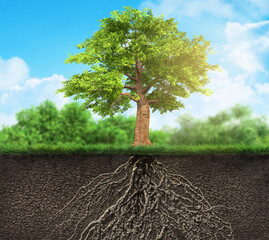 Wall Mural - tree with roots in soil, soil cross, 3d illustration