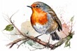 Watercolor picture of a robin. Small bird in a garden, drawn by hand up close. One picture of a beautiful singing bird. Realistic drawing element of a small robin on a white background. Generative AI