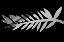 Palm Logo Silhouette Cut Out With Black Borders And Bokeh See Through 