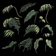 Naklejka na meble Tropical leaves isolated. Vector.