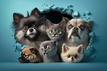 Funny Gray Cats And Happy Looking Dogs On A Cool Blue Background. Lovely Fluffy Cats, A Puppy Of A Pomeranian Spitz, Chihuahua, And Pug Climb Out Of A Hole Against A Colorful Background. Generative AI