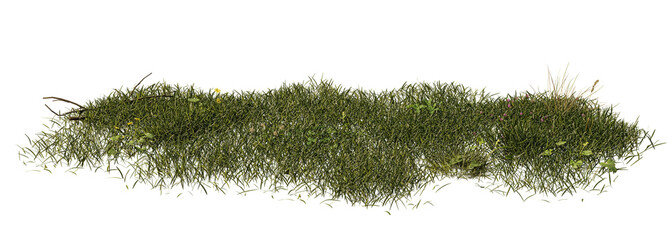 grass patch with clover and dandelions, nature scene isolated on transparent background banner