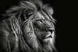 B&W picture of a lion on a black background. Generative AI