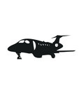 Fototapeta Dinusie - charter jet plane vector business 