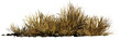 desert scene cutout, dry plants with rocks isolated on transparent background banner