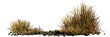 desert scene cutout, dry plants with rocks, isolated on transparent background banner