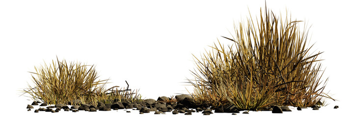 Wall Mural - desert scene cutout, dry plants with rocks, isolated on transparent background banner