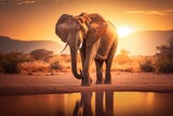Fototapeta Perspektywa 3d - Elephants in savannah African wildlife on sunset background, Africa day. Created Generative Ai