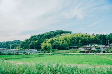 夏の田舎風景