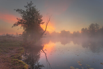 Wall Mural - Gorgeous foggy sunrise landscape on a lake coast, under a vibrant morning sky.