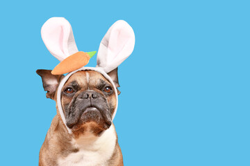 Wall Mural - French Bulldog dog wearing Easter bunny costume ears headband on blue background with copy space