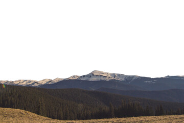 Wall Mural - Pine forest hills with peaceful mountains isolated PNG photo with transparent background