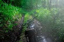 Motorcycle Parked Amidst Plants In Forest During Foggy Weather