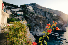 Close-up Of Flowers Against Houses On Cliff At Amalfi Coast