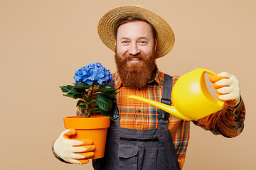 Young bearded man wear straw hat overalls work in garden hold water blue hydrangea flower in pot with bottle isolated on plain pastel light beige color background studio portrait Plant caring concept.