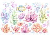 Fototapeta Paryż - Set of colorful corals and seaweed. Marine plants and aquarium algae on transparent background. Underwater flora hand painted watercolor illustration. Under the sea clip art