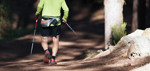 Wall Mural - Athlete man running mountain marathon along a forest trail with a backpack and walking sticks