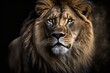 lion portrait on black. Generative AI