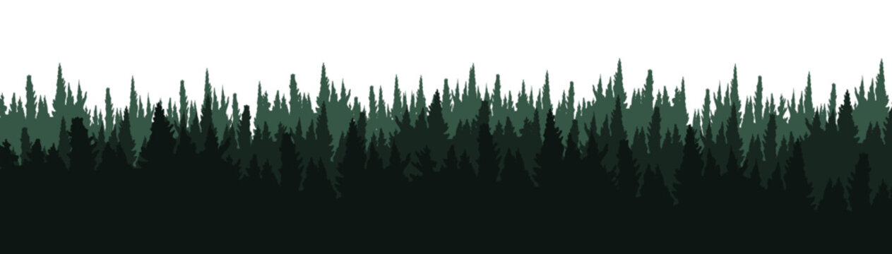 Fototapete - Forest blackforest vector illustration banner landscape panorama - Green silhouette of spruce and fir trees, isolated on white background