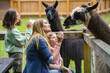 © Irina Schmidt - Two little girls and woman feeding fluffy furry alpacas lama. Happy excited children and mother feeds guanaco in a wildlife park. Family leisure and activity for vacations or weekend