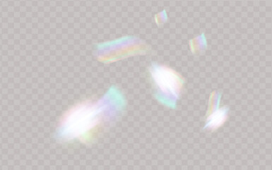 Soft shadow form window and plants, light overlay effect. Scenes of natural lighting.Effect Template for social media backgrounds, product presentations, photo shots.