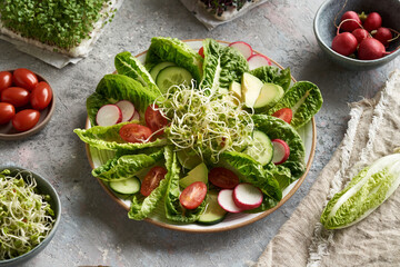 Fresh salad with sprouts, microgreens, radish, tomato, lettuce and avocado