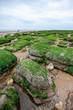Low Tide, East Anglia coast, England, UK. A view of the sandy beach out to the cloudy but calm North Sea horizon littered with seaweed covered rocks.