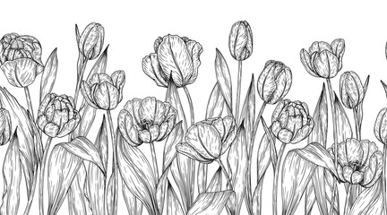 Wall Mural - Seamless horizontal vector pattern garden tulips