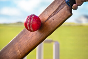 Wall Mural - Cricket player batsman hitting ball with stumps on cricket pitch