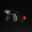 Beautiful red fantastic flower in vase with dew drops on dark background with copyspace. Single Flower. Water dew drops. 3d render, 3d illustration.