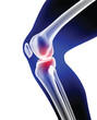 3D illustration of thigh and calf muscles connected to knee bone on dark blue background. It is used in medicine, sports and education.
