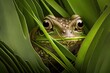 feathered green frog in grass peeking out of leaves, created with generative ai