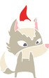 shy flat color illustration of a wolf wearing santa hat