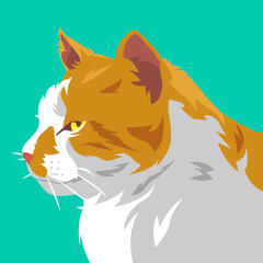Wall Mural - cat face side view close-up portrait. suitable for avatar, web, user profile, print, sticker, poster, and more. vector illustration