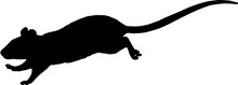 Silhouette Of A Mouse
