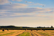 tramonto su campi di grano con mongolfiere