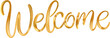 Welcome sign gold lettering typographic metallic glitter calligraphy.