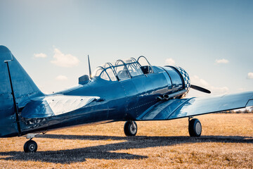 Wall Mural - side view of an historical aircraft