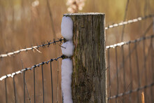 A Wooden Pole With Snow On One Side