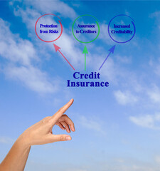 Canvas Print - Three Functions of Credit Insurance